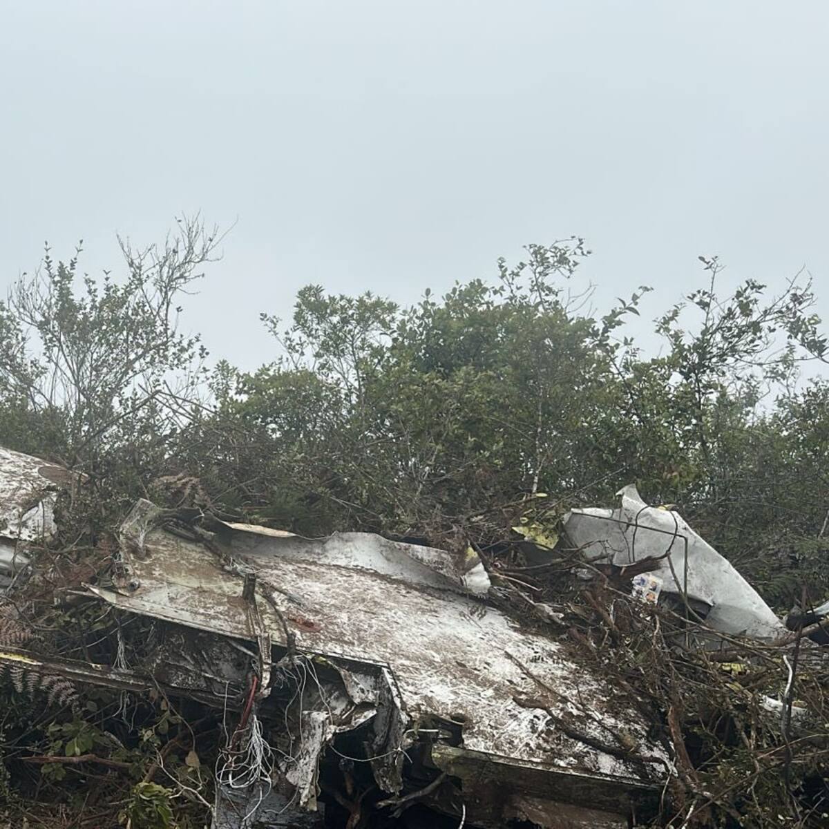 Cinco equipos forenses de Medicina Legal identificarán los 15 cuerpos del accidente aéreo
