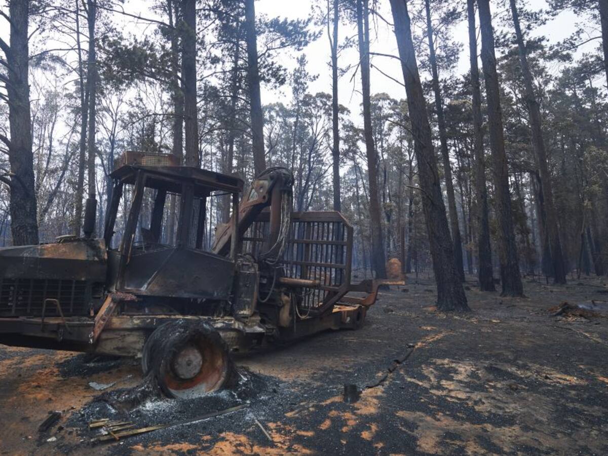 Preparan ayudas millonarias para la recuperación por incendios en Australia