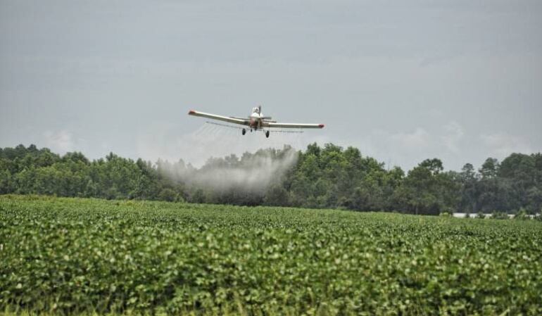 Reclaman presencia del Estado en la región del Catatumbo