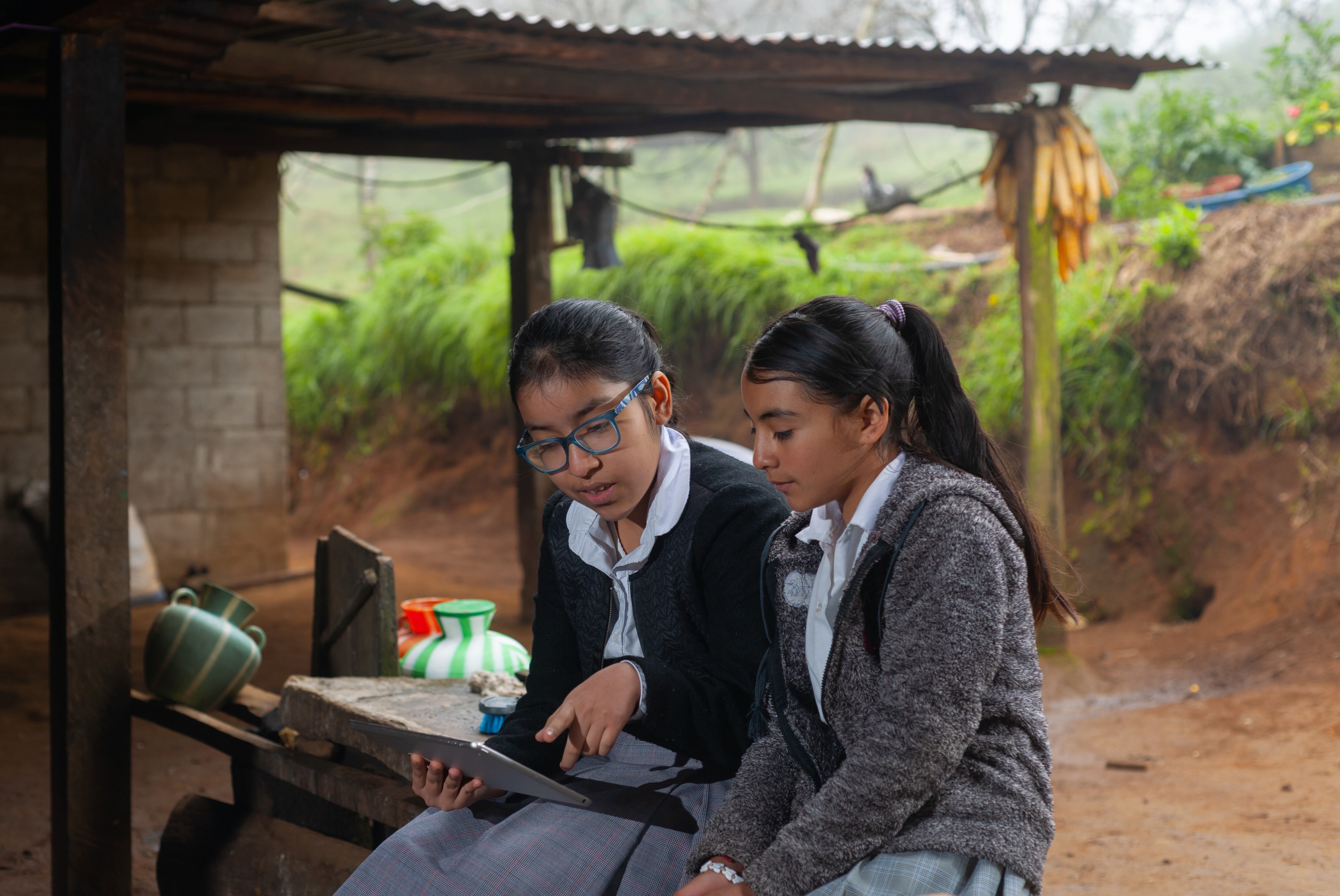 El nuevo programa impactará a zonas rurales en 19 departamentos de Colombia. | Foto: Shutterstocl
