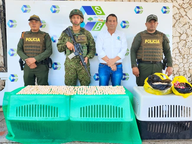 Incautan 1.600 huevos de iguana,en el sur de Bolívar