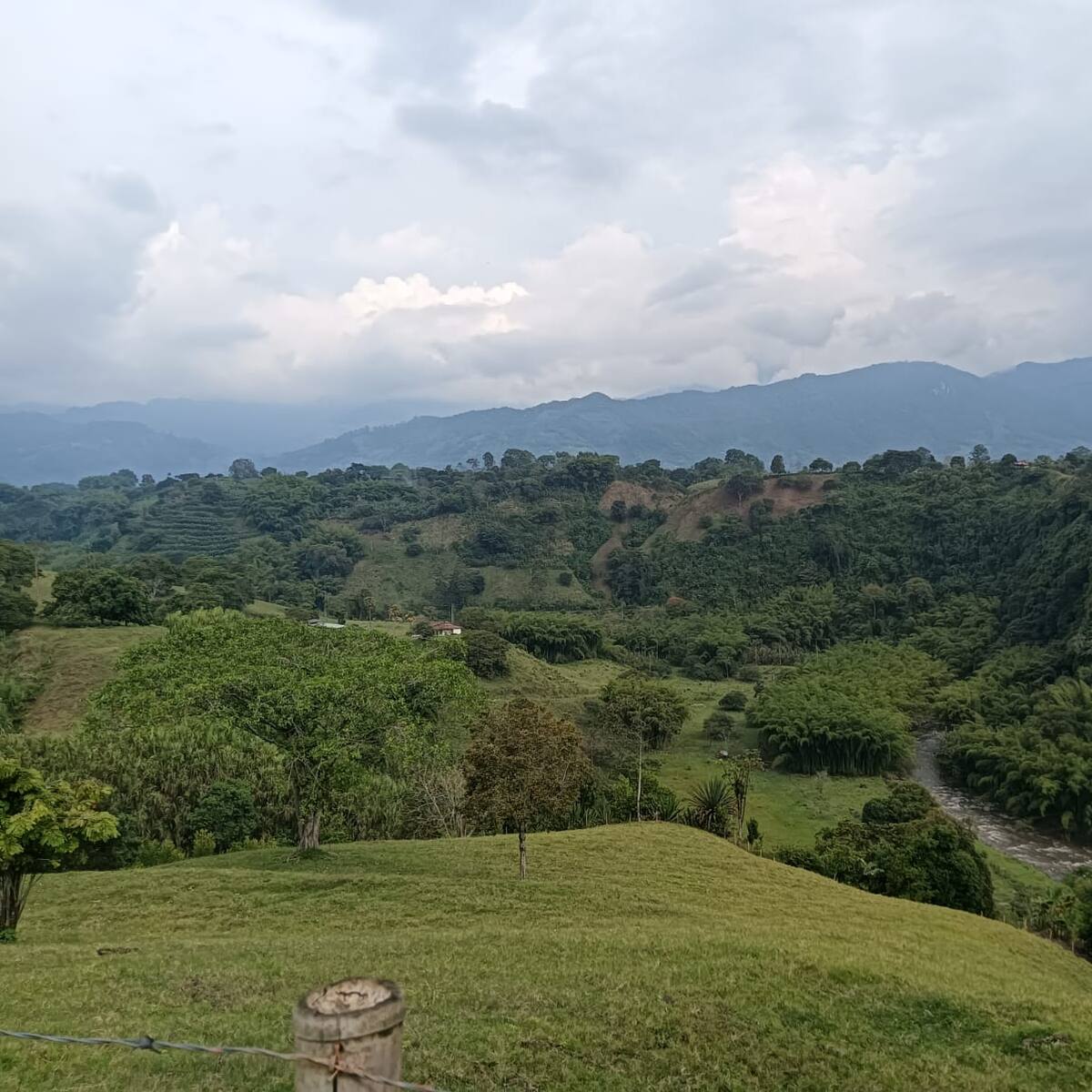 Lunes 17 de marzo, las noticias más importantes de Armenia y Quindío
