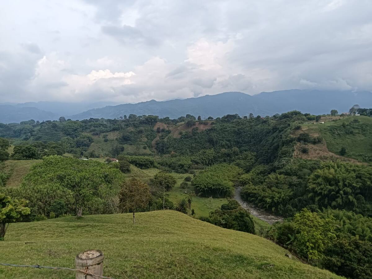 Lunes 17 de marzo, las noticias más importantes de Armenia y Quindío