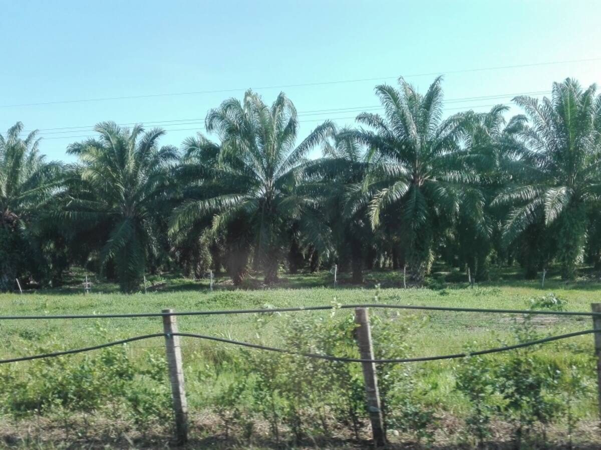Empresarios reclaman intervención social para el Catatumbo