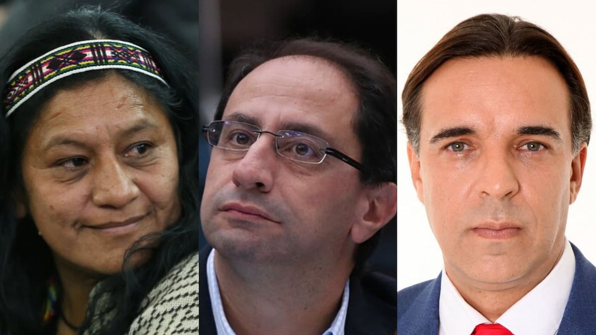 Fórmulas vicepresidenciales: mensajes, votos y cálculos políticos