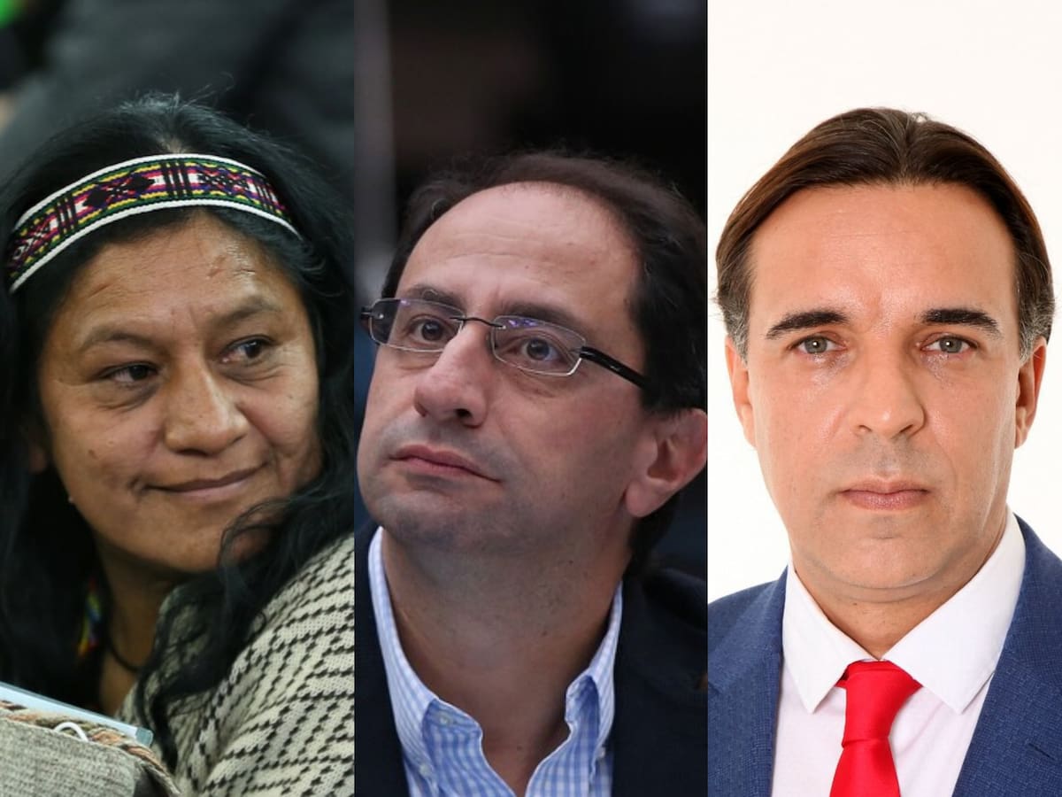 Fórmulas vicepresidenciales: mensajes, votos y cálculos políticos