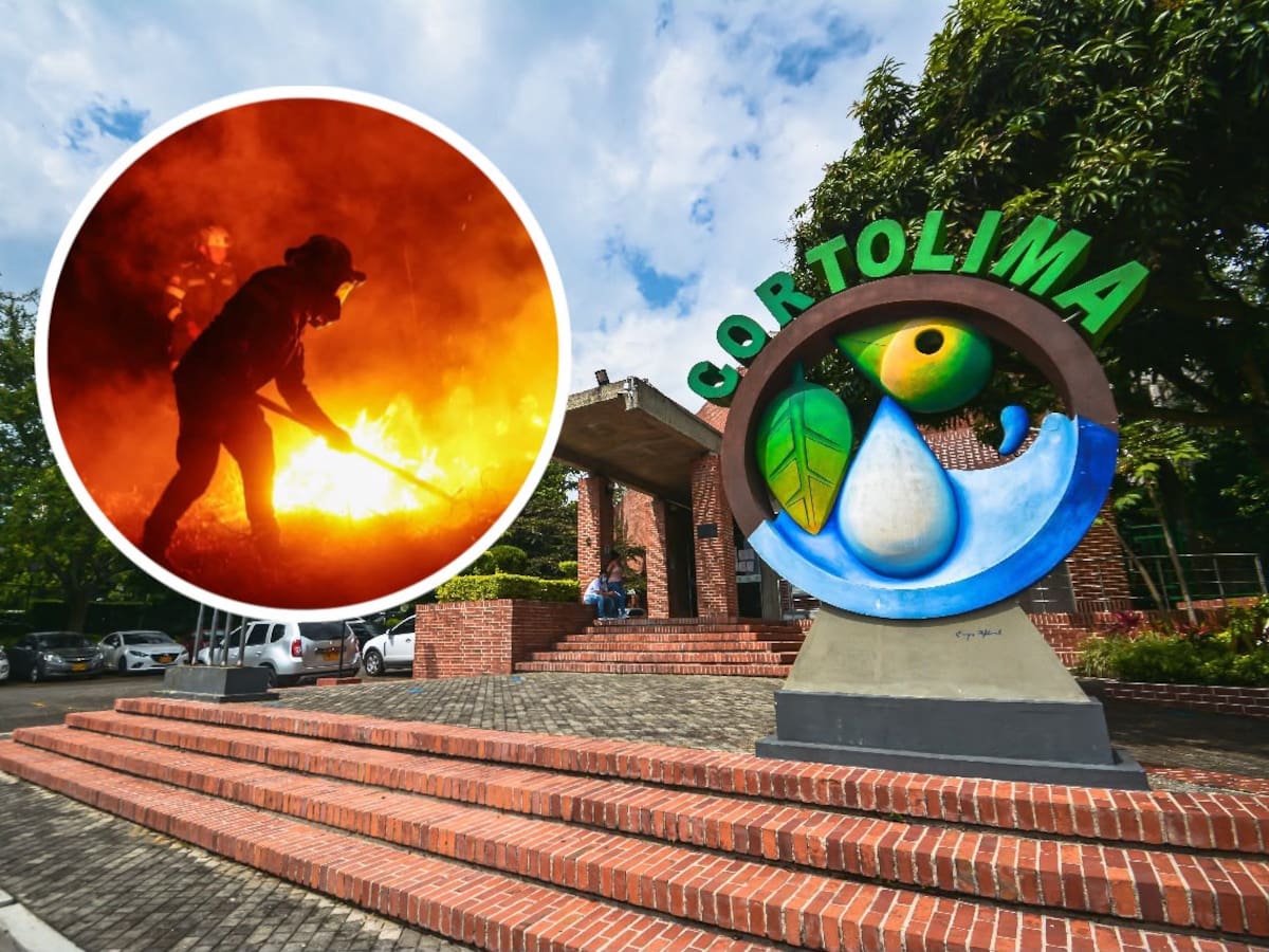 Procuraduría abre indagación por caso de funcionaria de Cortolima que contrató quemas en su finca