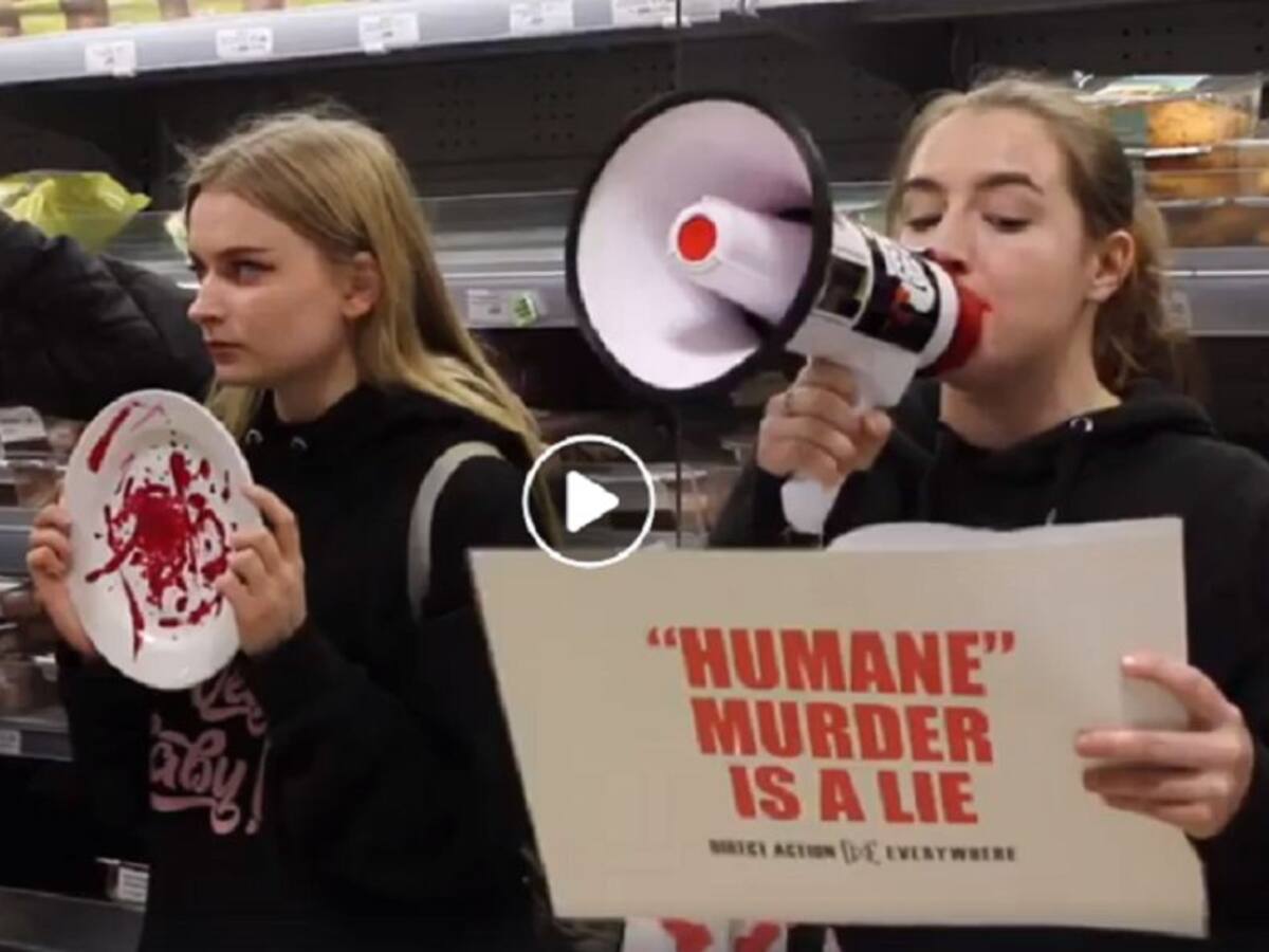 Activistas veganos impiden la venta de pavo en supermercado