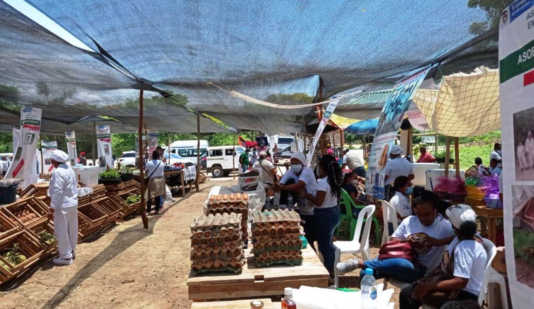 Mercado Campesino Regional en Zambrano, Bolívar