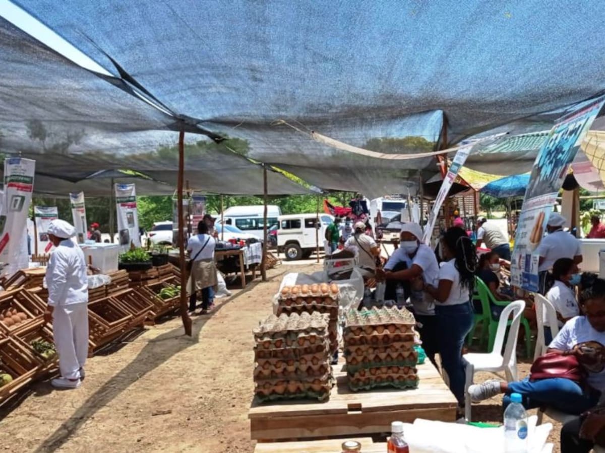 Mercado Campesino Regional en Zambrano, Bolívar