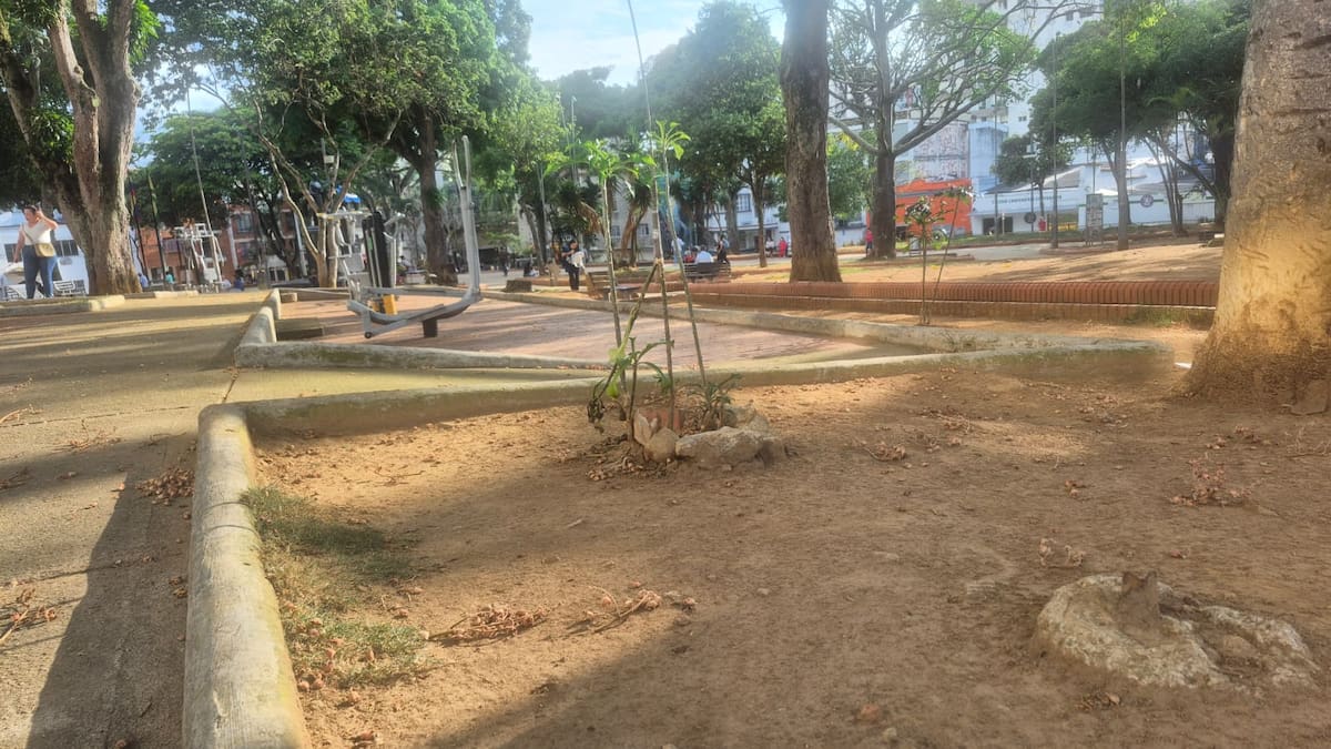 El mal estado del parque Bolívar de Bucaramanga. Es un desierto