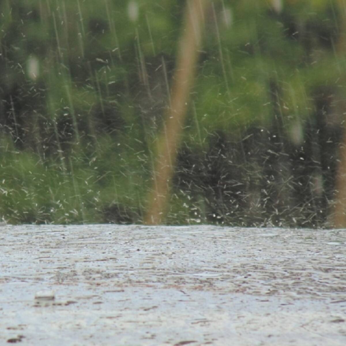 Togüí declara calamidad pública por ola invernal