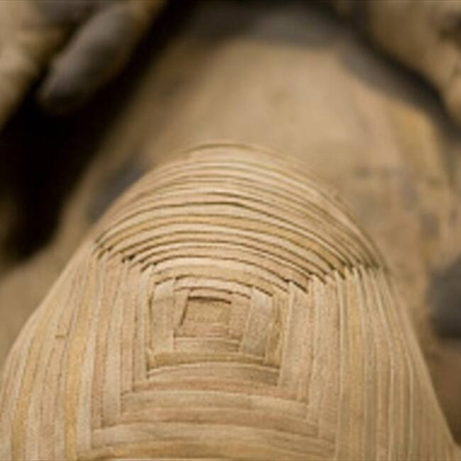 Una momia de mujer de unos 3.000 años de antigüedad presenta los tatuajes más elaborados encontrados hasta el momento en un cuerpo de la época.. Foto: Getty Images