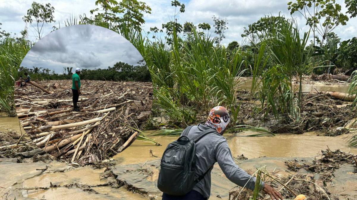 317 familias quedaron afectadas por el desbordamiento del río Murindó debido a las lluvias