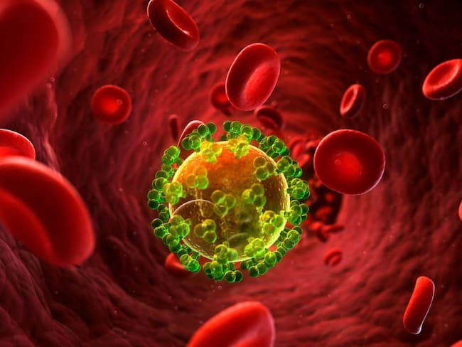 Interpretación artística de infección con VIH en el torrente sanguíneo.       Foto: Getty 