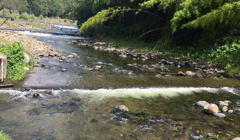 Este bajo nivel del río Quindío provocaría un racionamiento producto del fenómeno del niño 