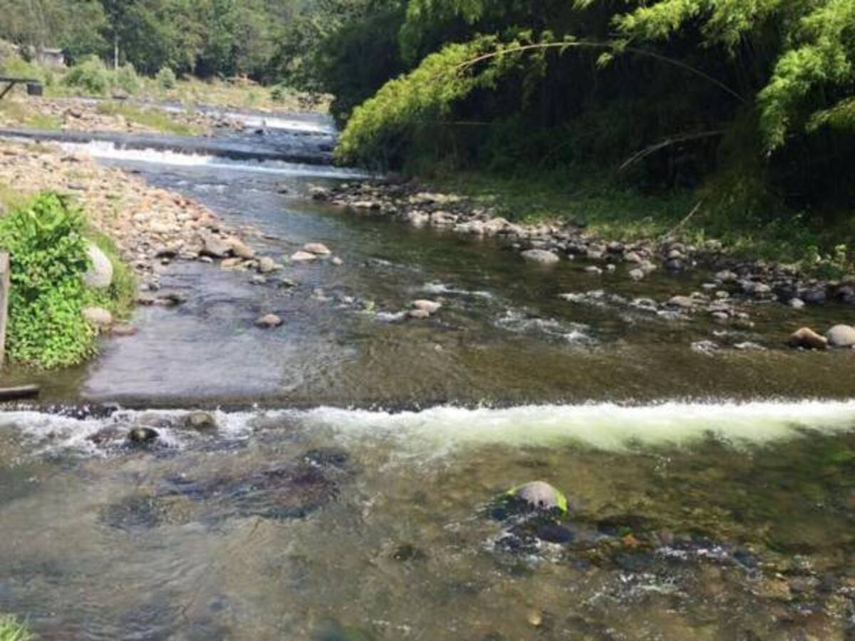 Bajo caudal río Quindío tendría a las puertas de racionamiento de agua Armenia