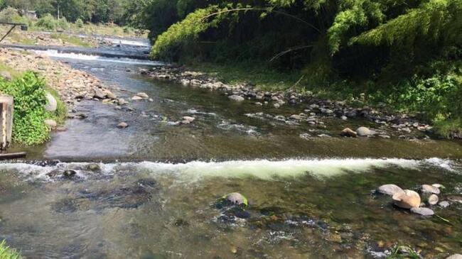 Este bajo nivel del río Quindío provocaría un racionamiento producto del fenómeno del niño