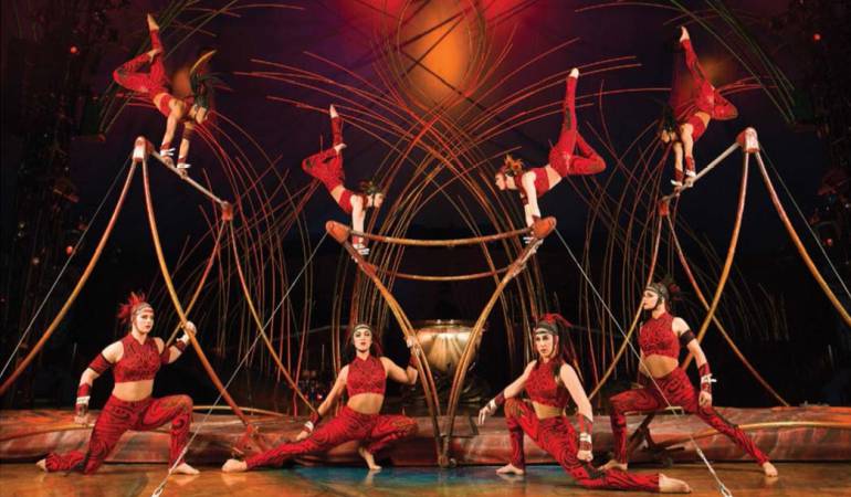 CIRQUE DU SOLEIL Amaluna