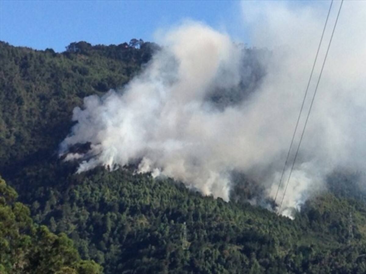 En Medellín, el 80% de los incendios forestales son provocados