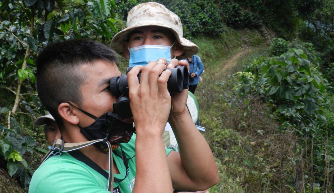 Aviturismo en Planadas, Tolima