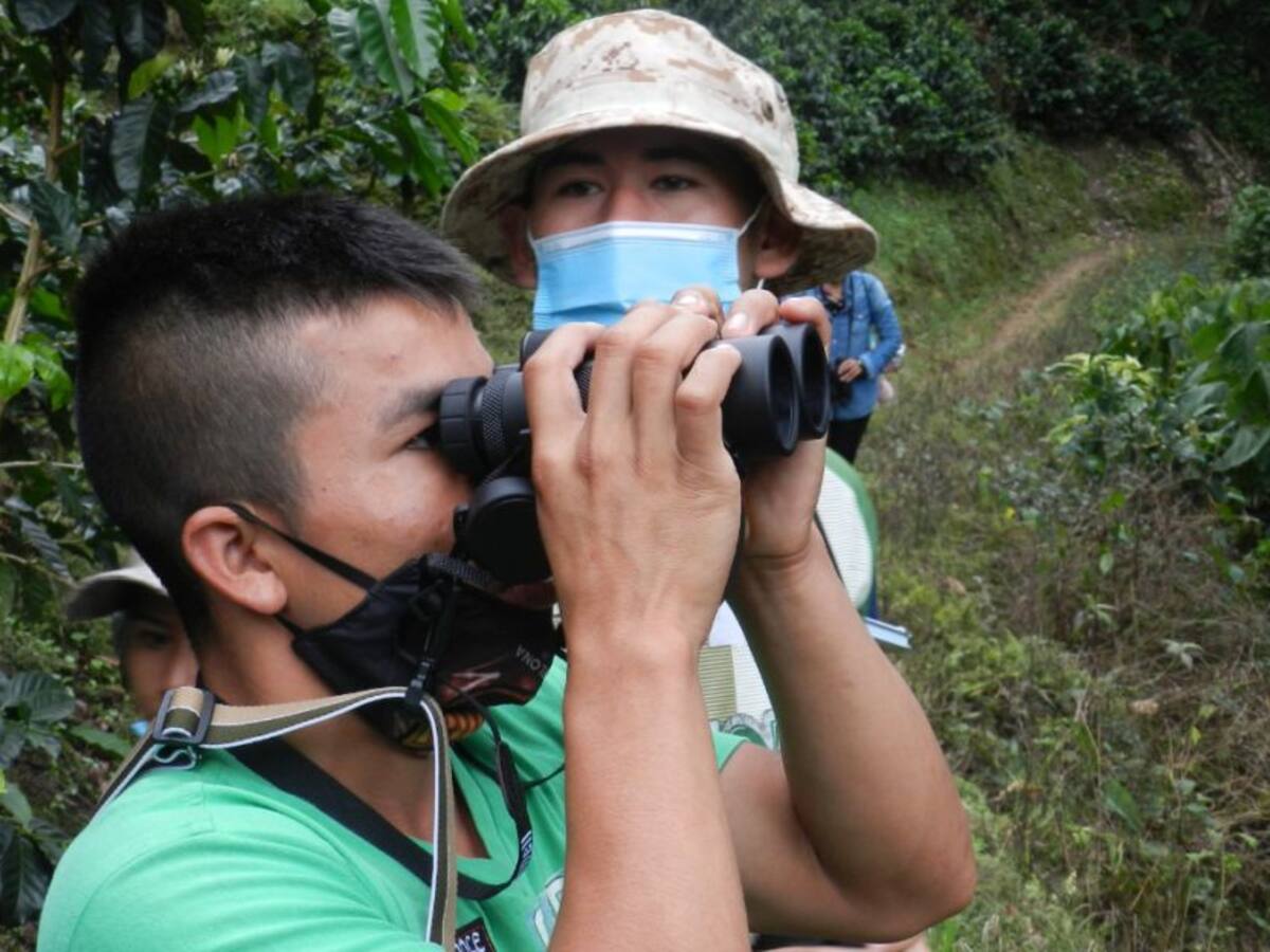 El aviturismo un aporte a la construcción de paz en el sur del Tolima