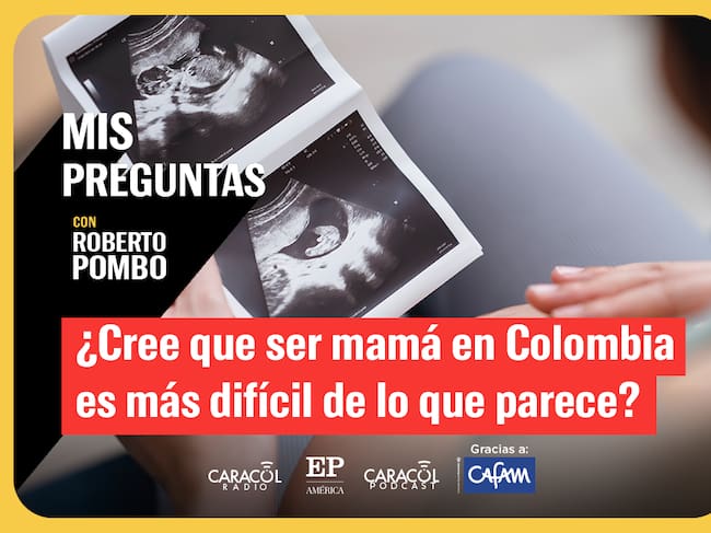 Mis preguntas
