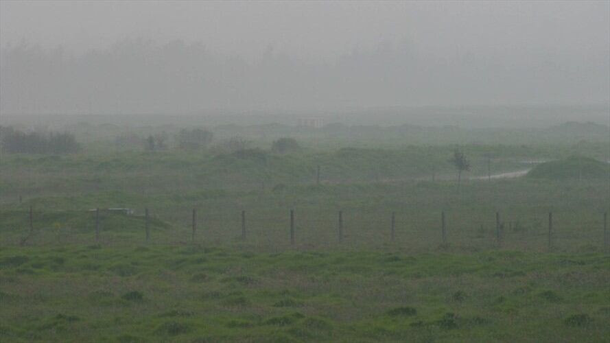 Varias hectáreas de pastos y cultivos de papa resultaron afectadas por fuertes heladas. Foto: Colprensa