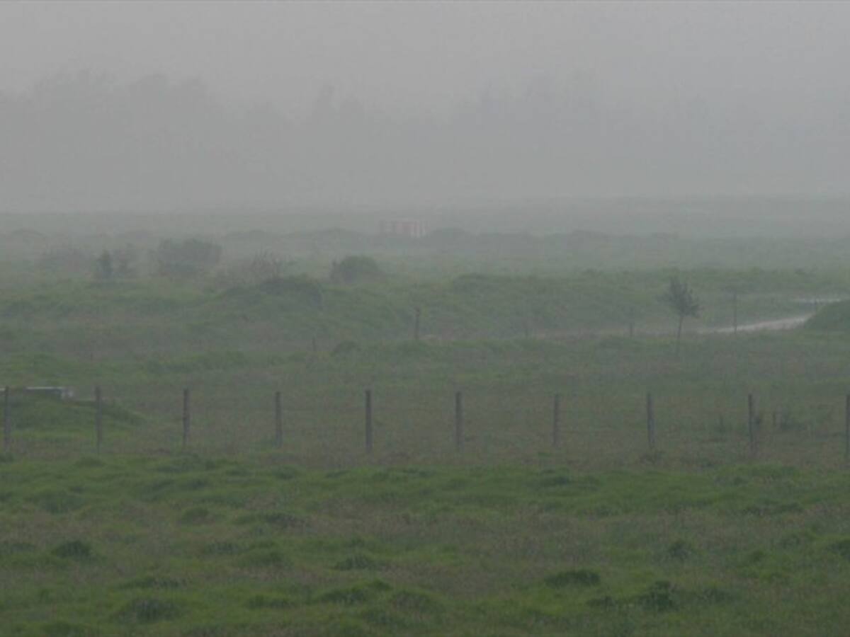 Fuertes heladas afectan cultivos de papa en Totoró, Cauca
