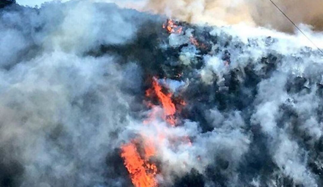 Alerta por altas temperaturas