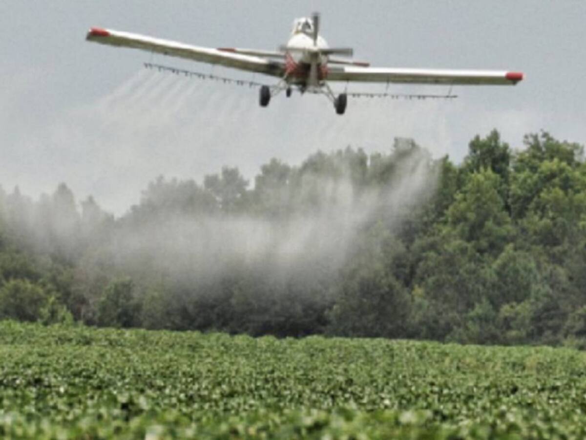 Gobierno presentó decreto para reanudar fumigaciones con glifosato