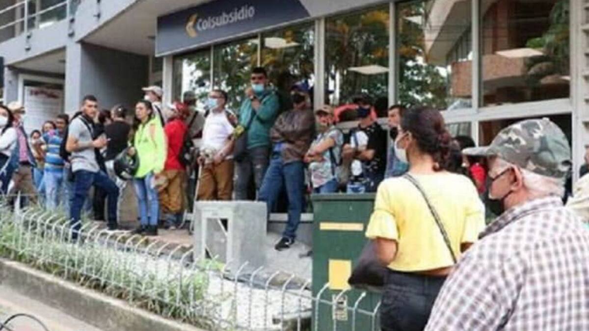 Informe Dispensarios Medicamentos en Quindío