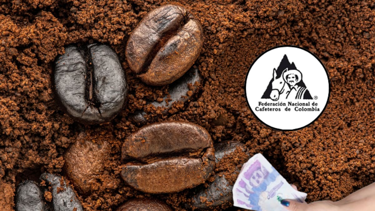¿Sigue al alza? Precio café HOY 5 de agosto: valor carga Federación Nacional de Cafeteros