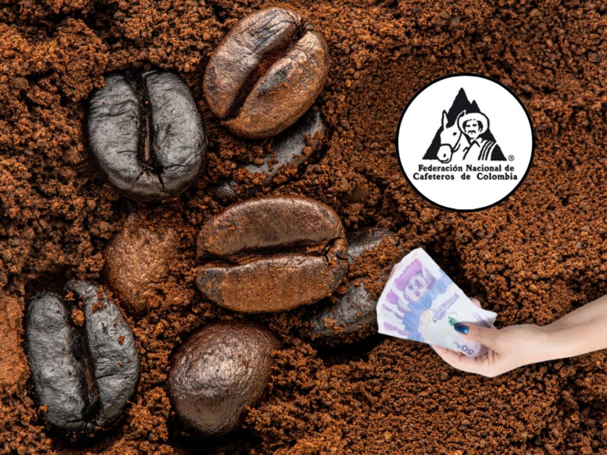 ¿Sigue al alza? Precio café HOY 5 de agosto: valor carga Federación Nacional de Cafeteros