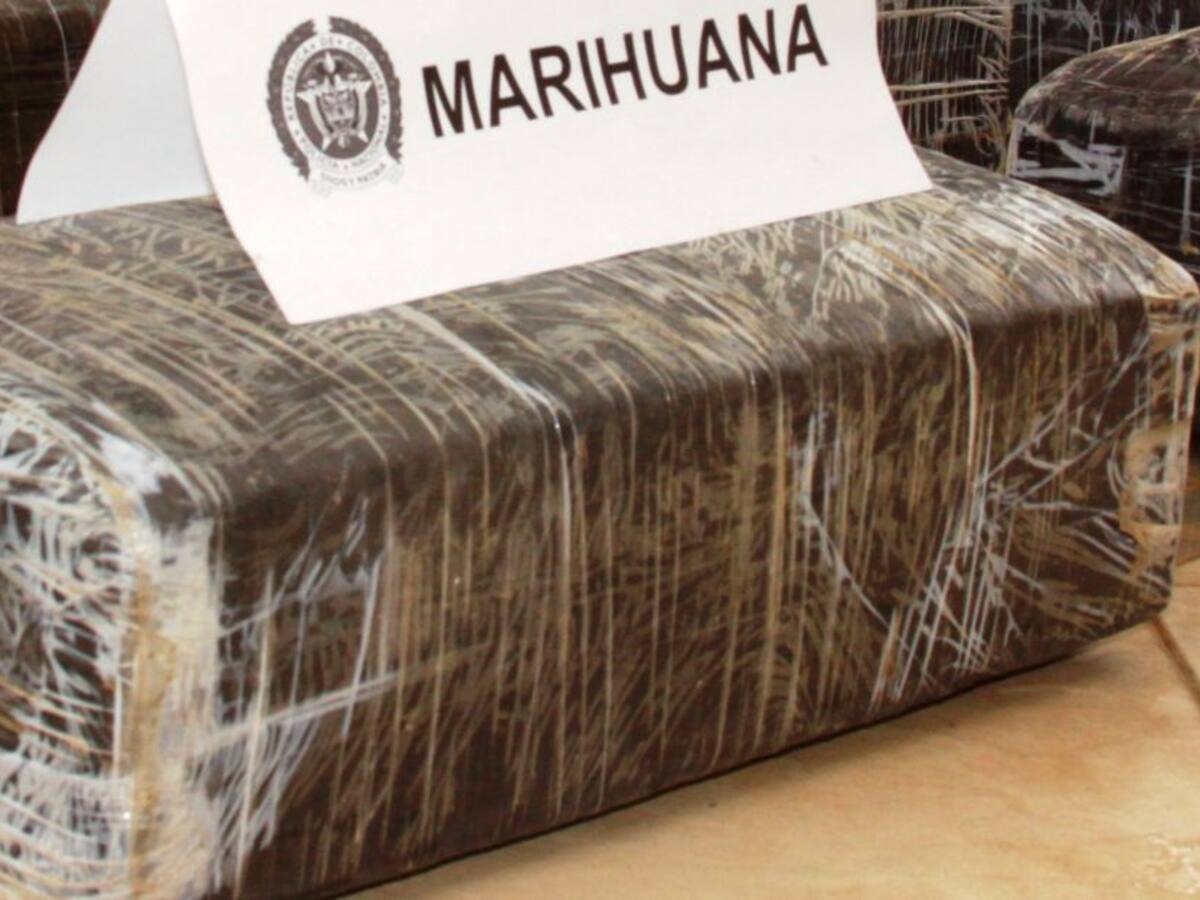 Decomisan 2.5 toneladas de marihuana cerca a San Andresito de La 38