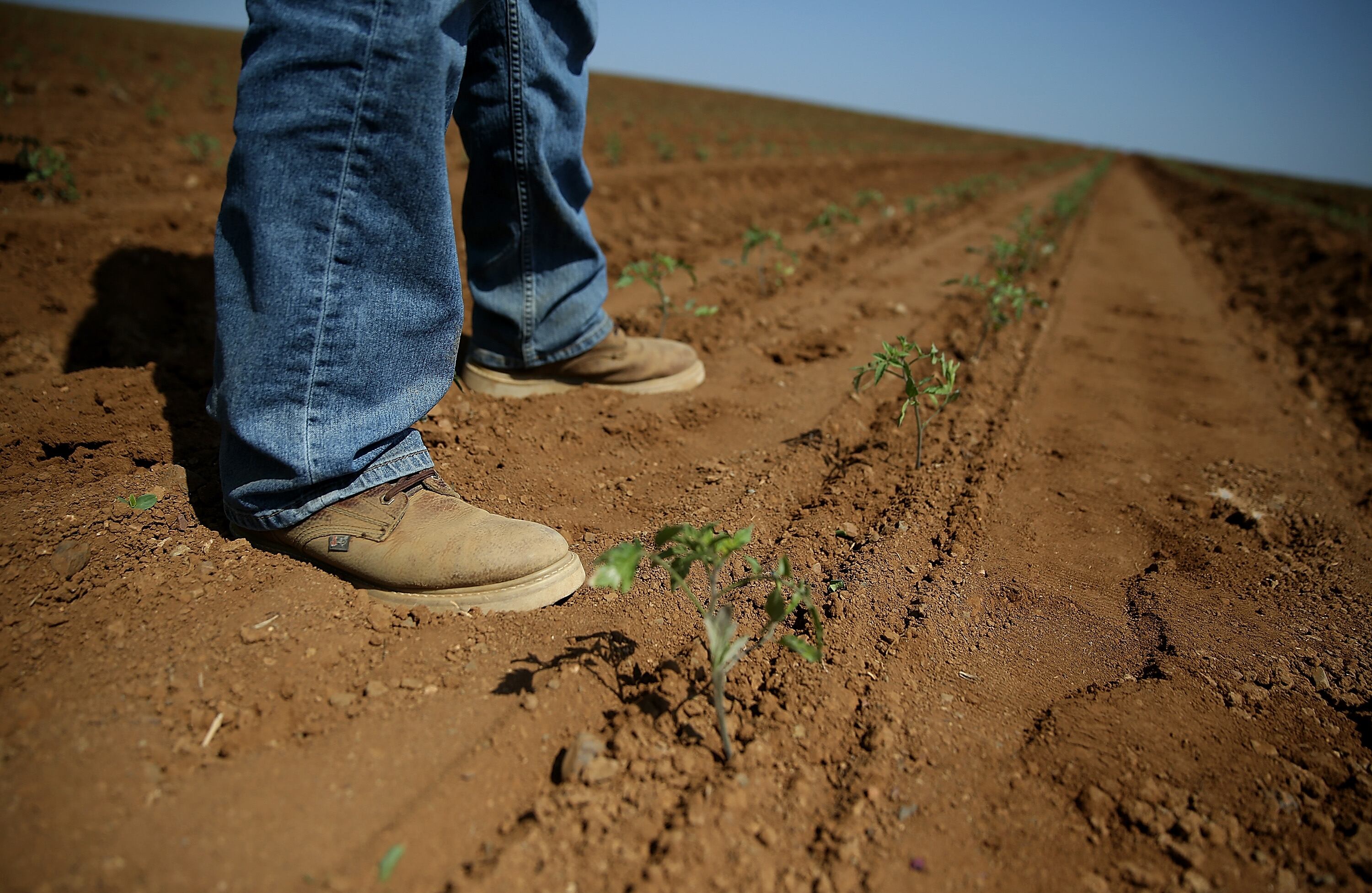 Una ciudad de California podría agotar su suministro de agua en dos meses