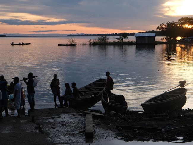 En el periodo evaluado por la FCDS (abril de 2024 a marzo 2025), se perdieron 2.626 ha de bosque al interior de estos Resguardos Indígenas, 82% de las cuales se concentró en Llanos del Yarí – Yaguará (1.533 ha) y Nukak Makú (618 ha), que han sido los más afectados históricamente por la deforestación. Las comunidades indígenas de ambos resguardos han sufrido conflictos relacionados con la ocupación de sus tierras por parte de actores ajenos a las comunidades, lo que ha dificultado el desarrollo de procesos de restitución y el retorno al territorio que les pertenece. | Foto: Getty Images