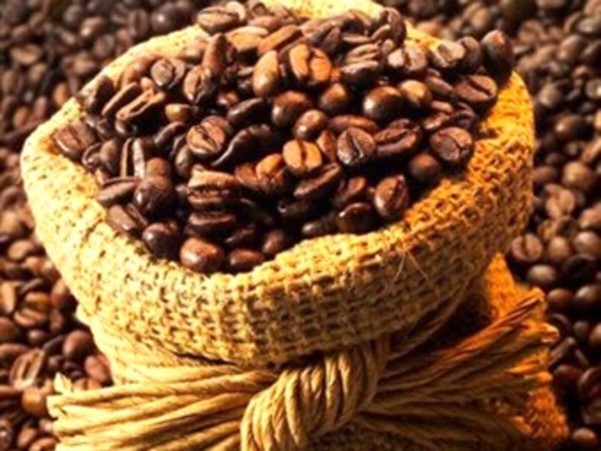 La producción y exportación de café cayó en febrero