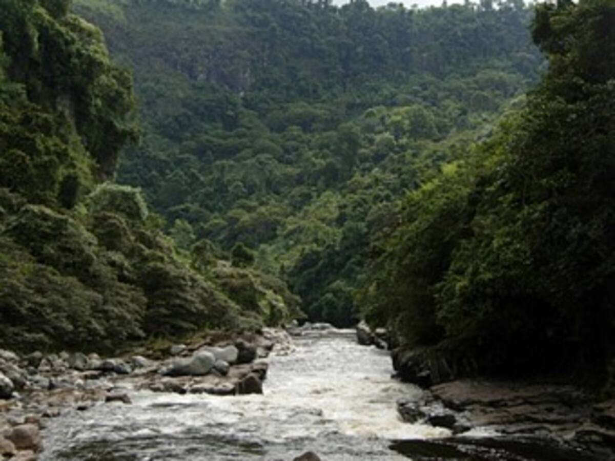Se dispararon los niveles de los ríos en Colombia