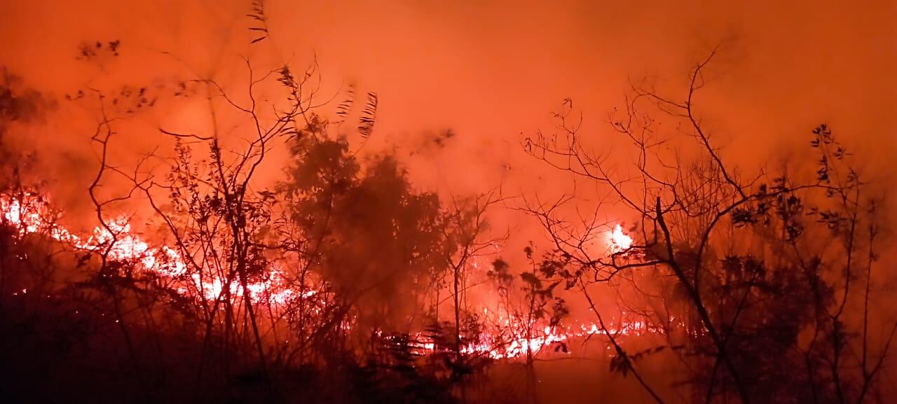 La conflagración se presenta en la vereda San Pedro del municipio de Dolores, Tolima