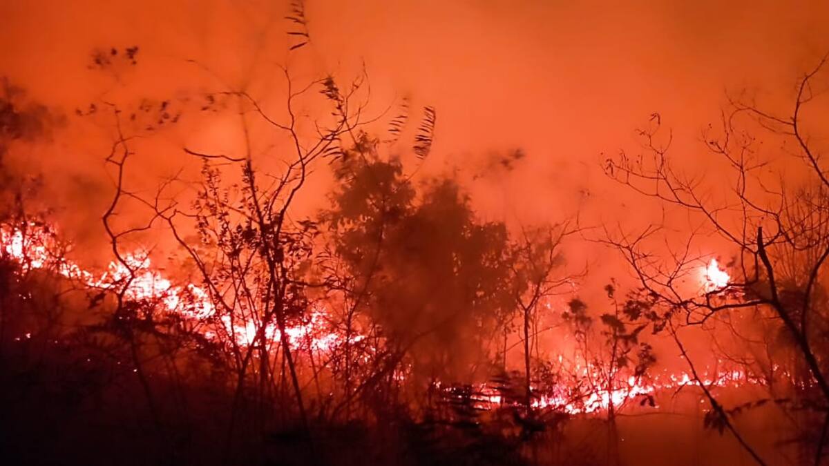 Sin control incendio forestal en Dolores, Tolima