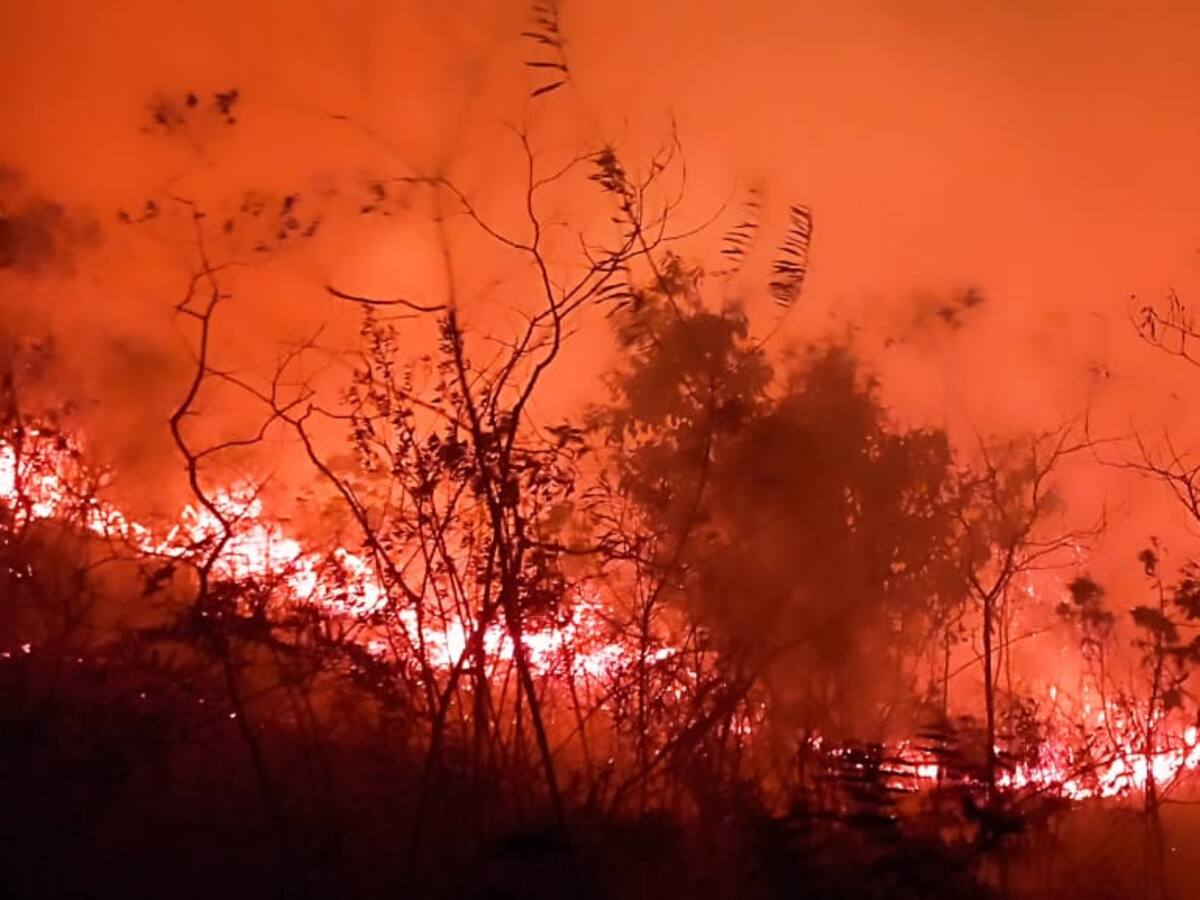 Sin control incendio forestal en Dolores, Tolima