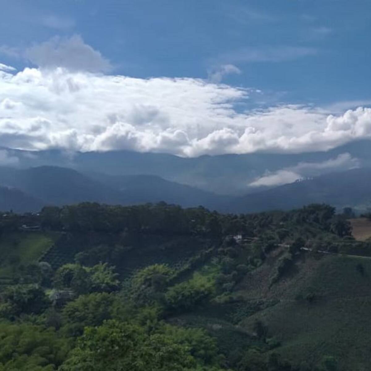Lunes 13 de septiembre, las principales noticias de Armenia y Quindío