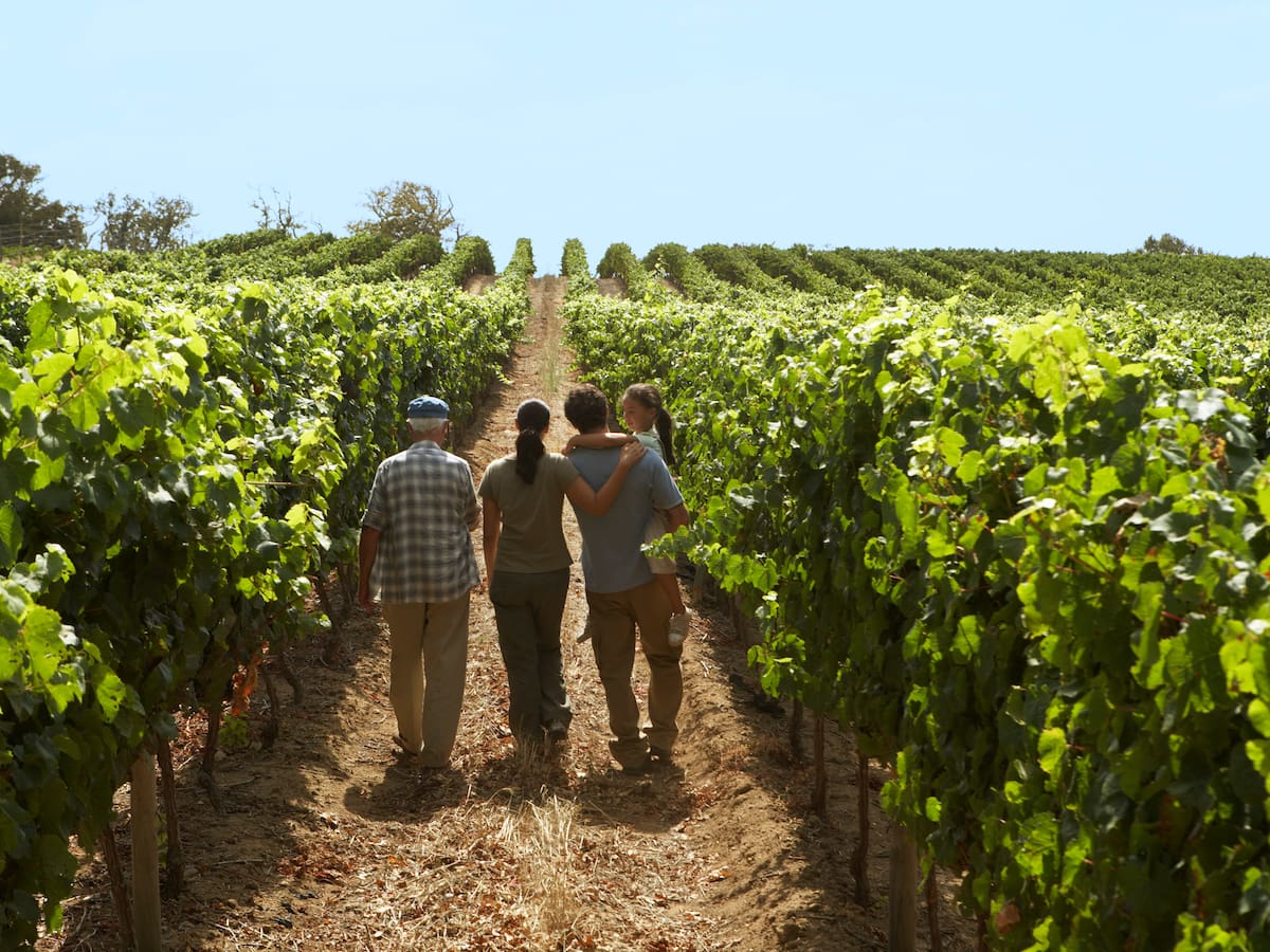 Cultivar con responsabilidad: el reto que la agroindustria ya está atendiendo