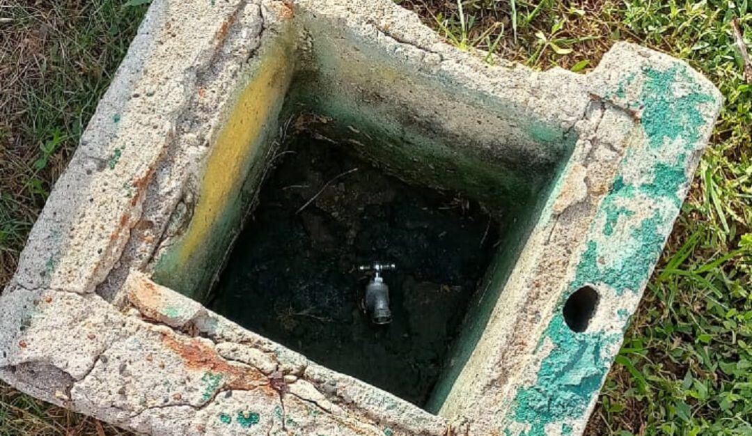 La Fundación Verde que te Quiero Verde aseguró desde los actos de vandalismo se vienen presentando desde el 2016