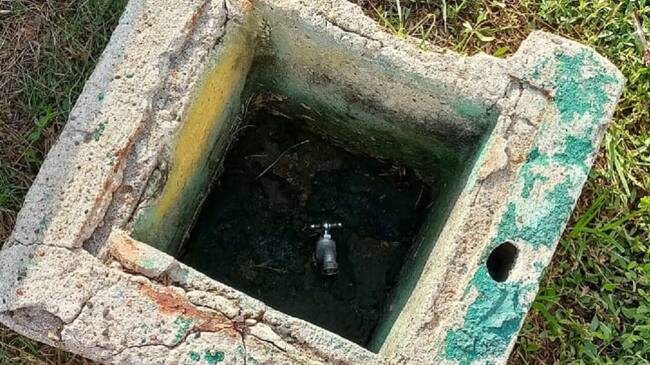 La Fundación Verde que te Quiero Verde aseguró desde los actos de vandalismo se vienen presentando desde el 2016