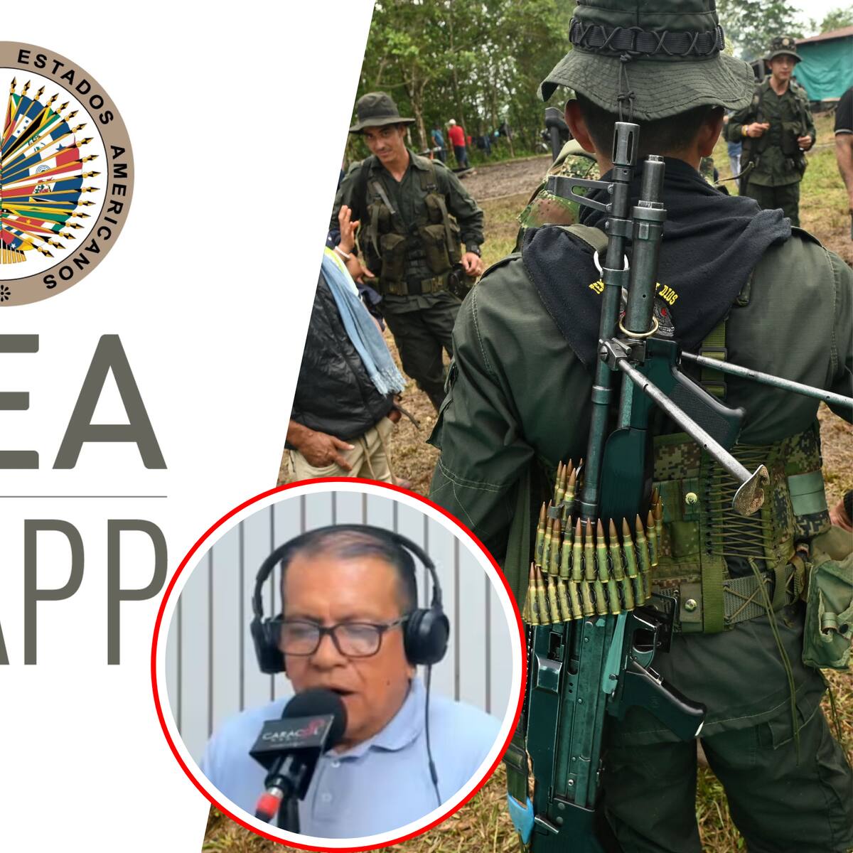 OEA alerta de inseguridad en el sur de Colombia y exige protección para amenazados