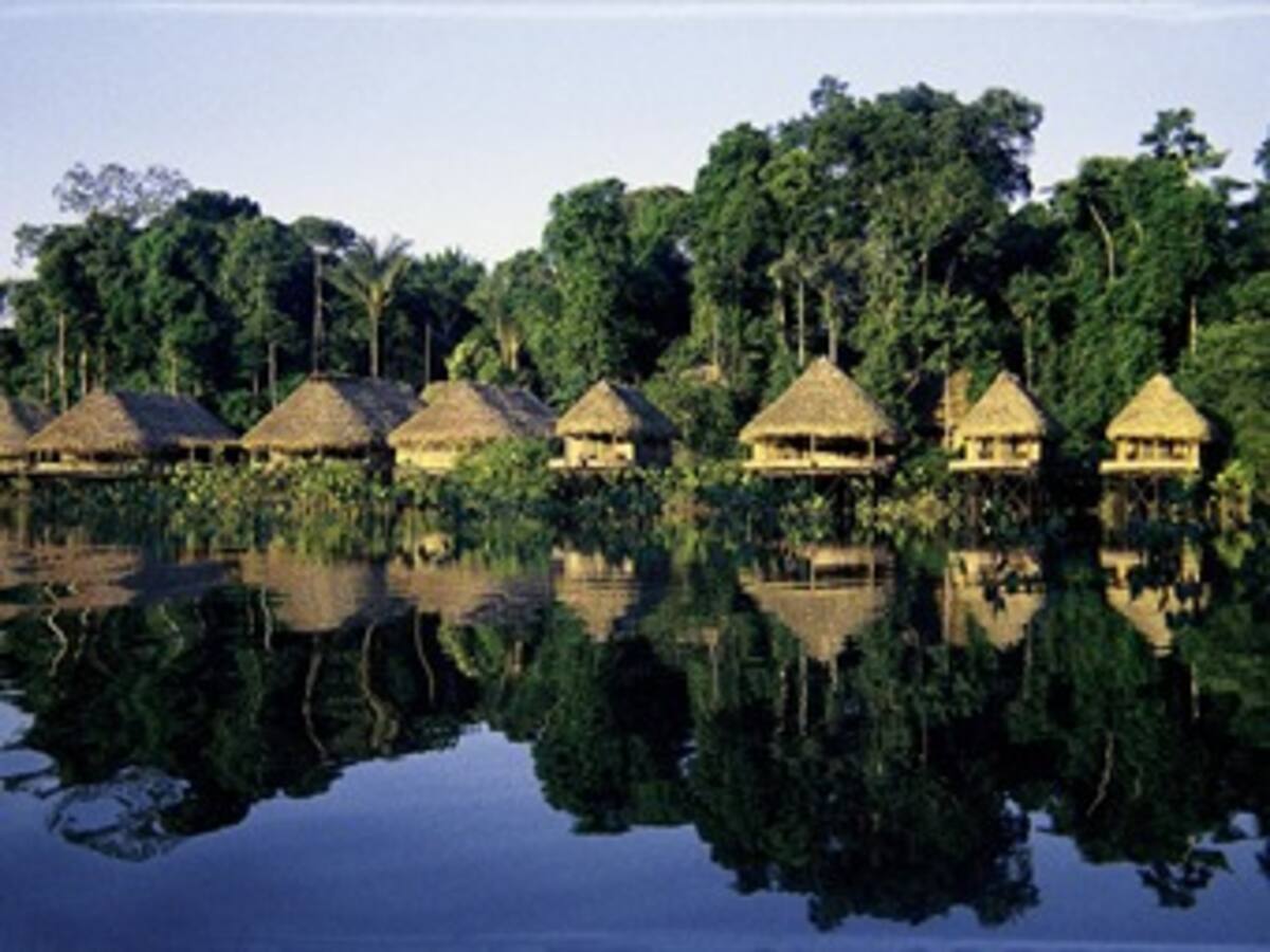 Políticos, empresas y ecologistas abogarán por modelo sostenible en Amazonía