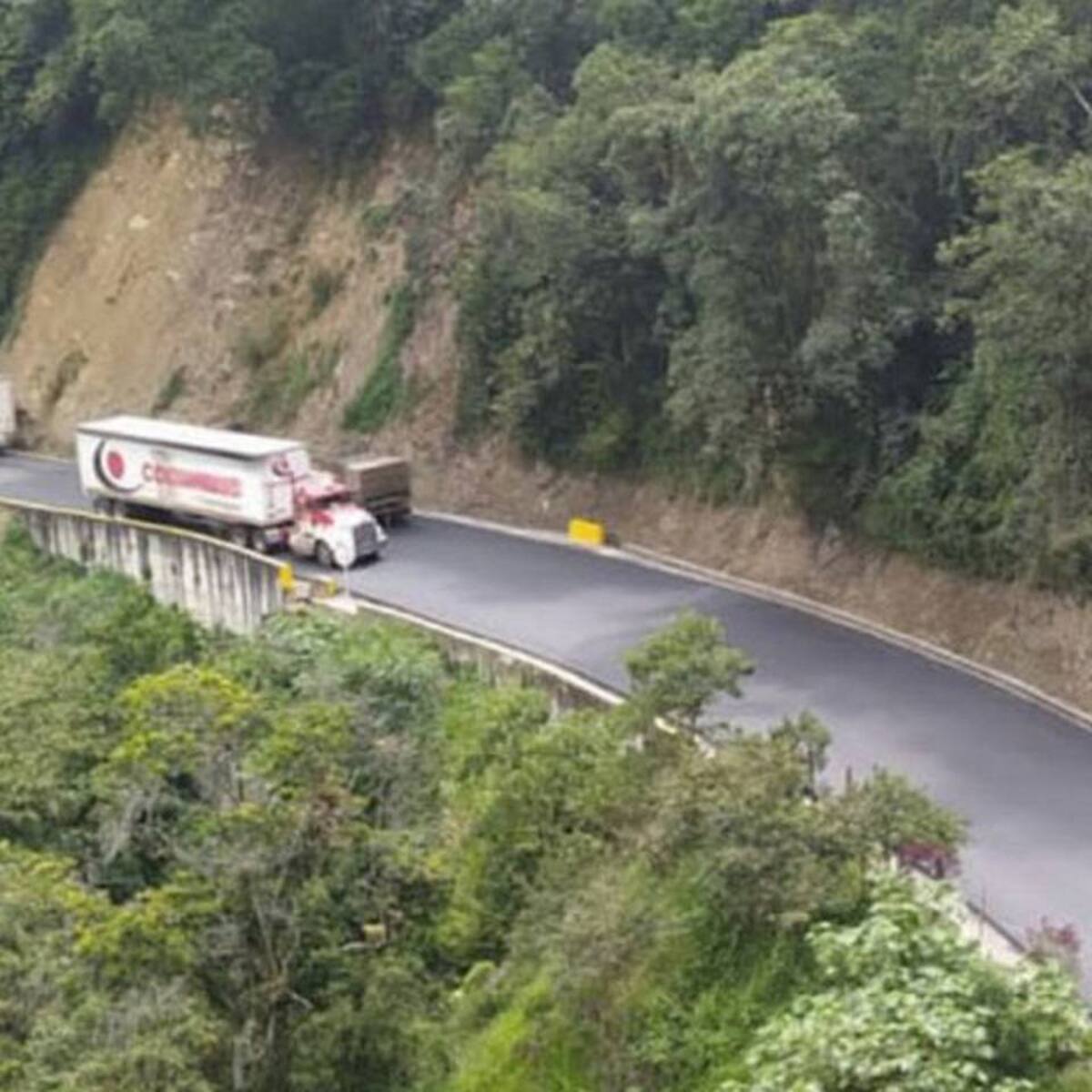 Alias ‘Morfeo’ fue capturado en la vía La Línea por robo de mercancía