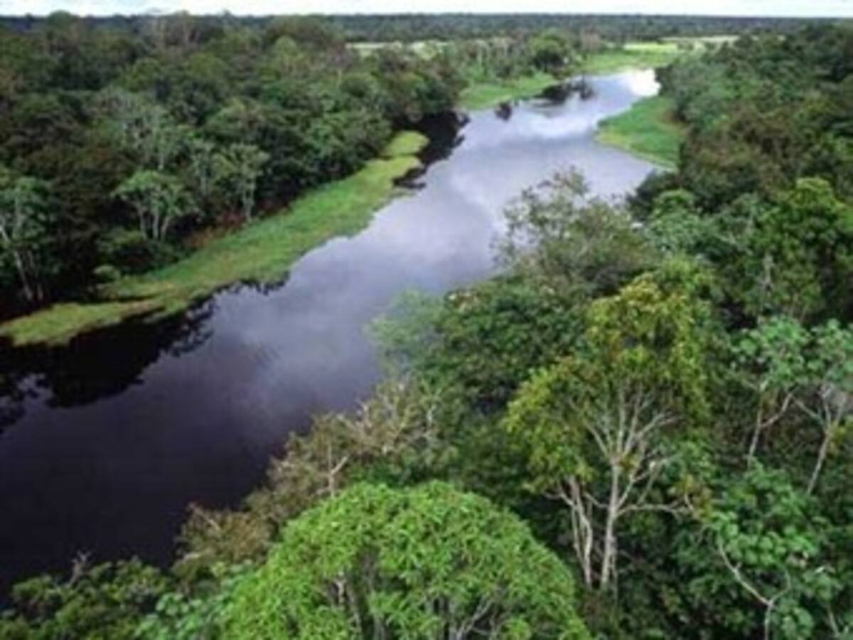 Travesía de ex soldado británico por río Amazonas culminará hoy